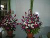 DSCN4138A~0.jpg